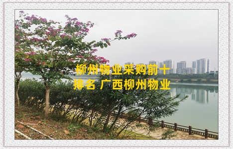 柳州物业采购前十排名 广西柳州物业